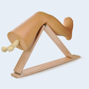 Lower limb model