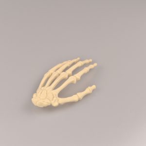 Palm training models